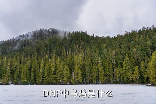 DNF中乌鸡是什么