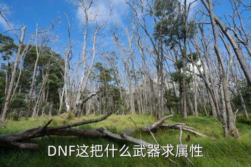 DNF这把什么武器求属性