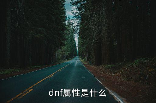 dnf属性是什么