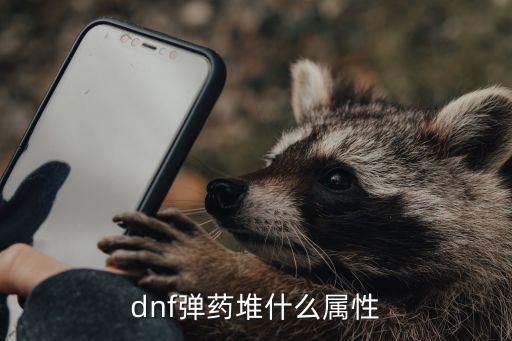 dnf弹药属性靠什么，地下城弹药加什么属性