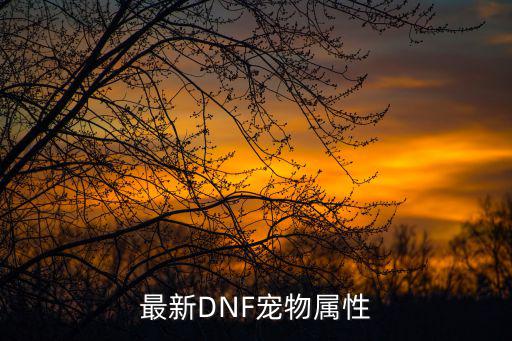 最新DNF宠物属性