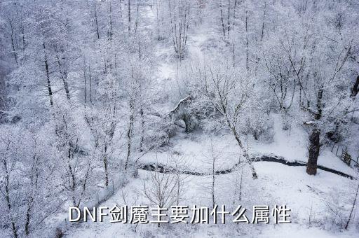 DNF剑魔主要加什么属性