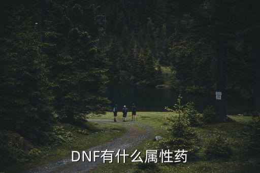 DNF有什么属性药