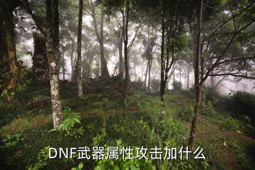 DNF武器属性攻击加什么