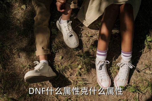 DNF什么属性克什么属性