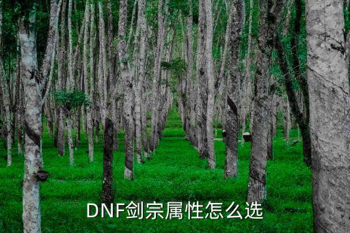 DNF剑宗属性怎么选