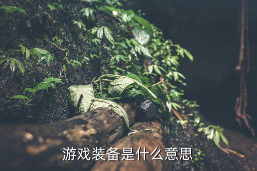 游戏装备是什么意思