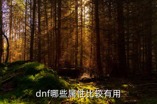 dnf什么属性攻击划算，dnf弄什么属性攻击最好