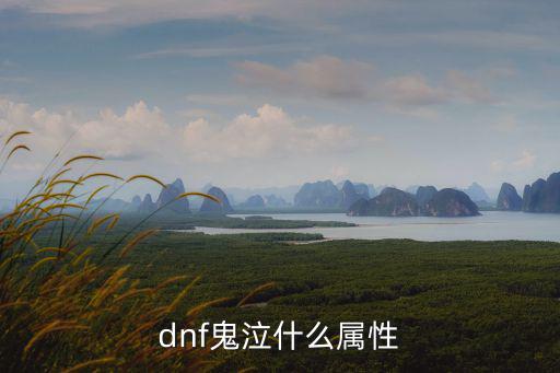 dnf鬼泣打什么属性，dnf鬼泣什么属性