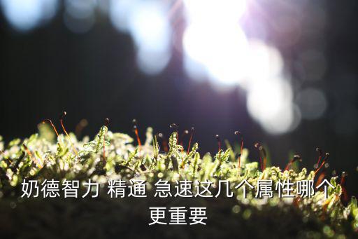 奶德智力 精通 急速这几个属性哪个更重要