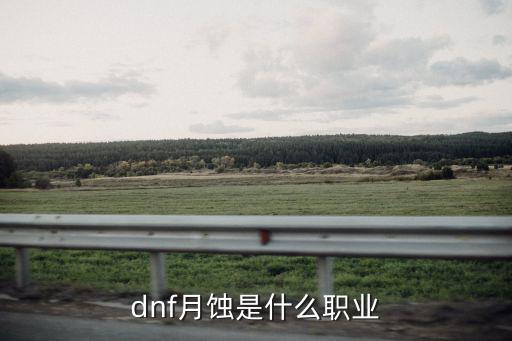 dnf月蚀是什么属性，dnf月蚀是什么职业