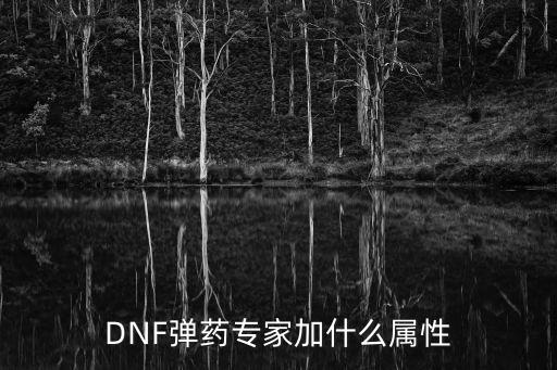 DNF弹药专家加什么属性