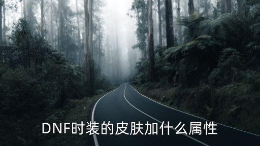 dnf时装选择什么属性，DNF时装的皮肤加什么属性