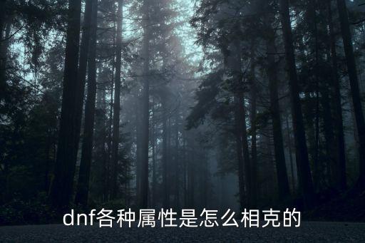 dnf各种属性是怎么相克的