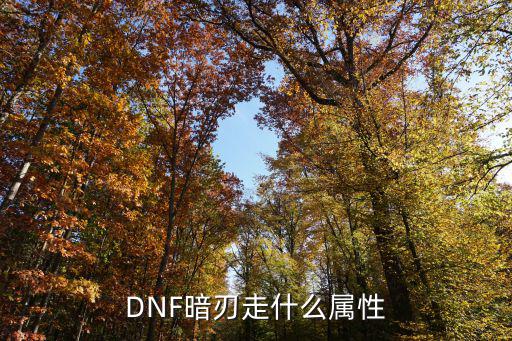 DNF暗刃走什么属性