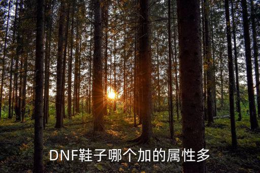 DNF鞋子哪个加的属性多