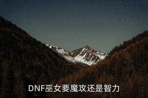 DNF巫女要魔攻还是智力