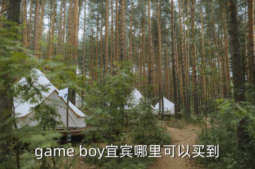 game boy宜宾哪里可以买到