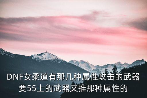 DNF女柔道有那几种属性攻击的武器要55上的武器又推那种属性的