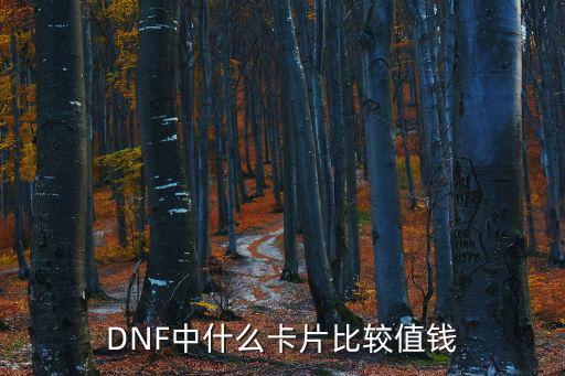 DNF中什么卡片比较值钱