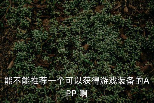 能不能推荐一个可以获得游戏装备的APP 啊