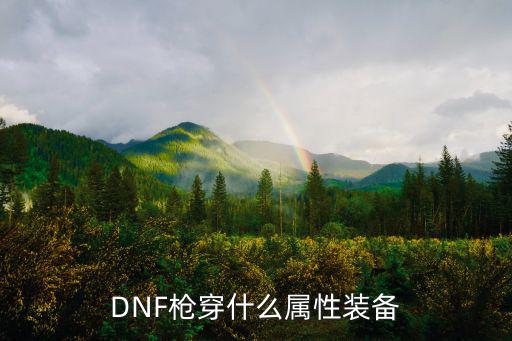 DNF枪穿什么属性装备