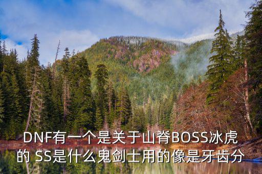 DNF有一个是关于山脊BOSS冰虎的 SS是什么鬼剑士用的像是牙齿分