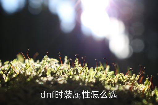 dnf时装属性怎么选