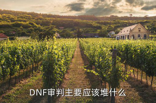 dnf审判主什么属性，dnf异端审判者加力量吗