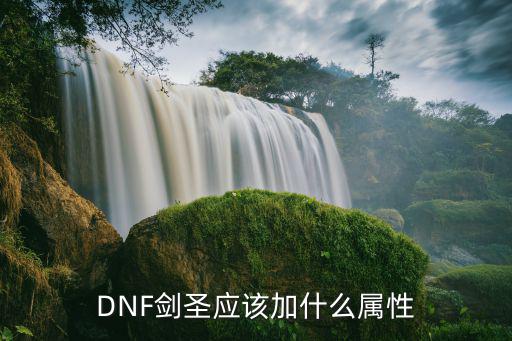 DNF剑圣应该加什么属性