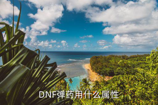 DNF弹药用什么属性