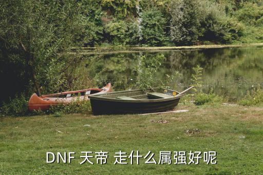 DNF 天帝 走什么属强好呢