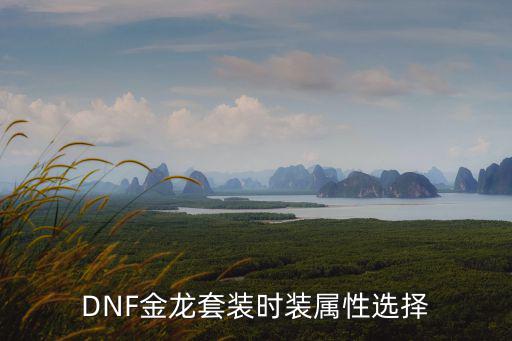 dnf金龙是什么属性，DNF金龙礼包和玉龙礼包哪个更适合刷图