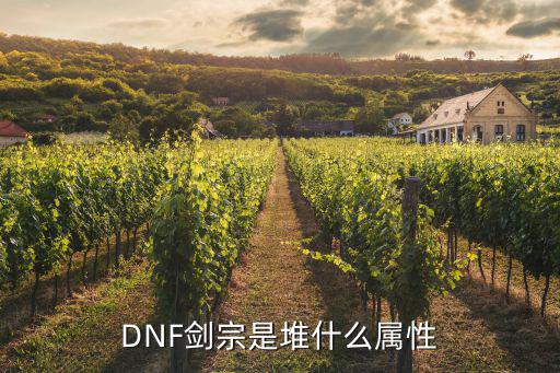 dnf剑宗是什么属性，DNF剑宗的技能是什么属性的