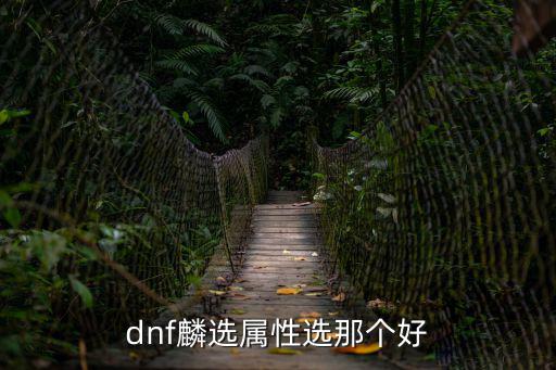 dnf遴选属性什么最好，DNF星之海遴选属性选择什么