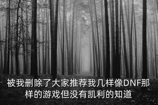 被我删除了大家推荐我几样像DNF那样的游戏但没有凯利的知道