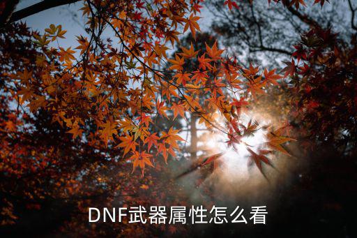 DNF武器属性怎么看