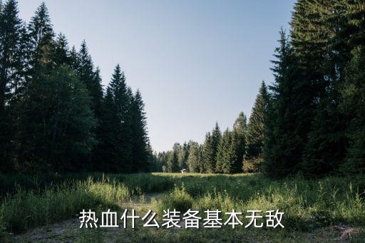 无敌的游戏装备有哪些武器，热血什么装备基本无敌