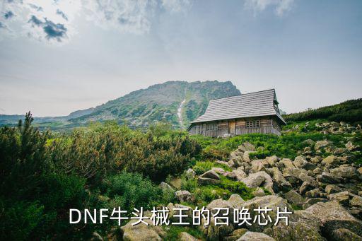 DNF牛头械王的召唤芯片