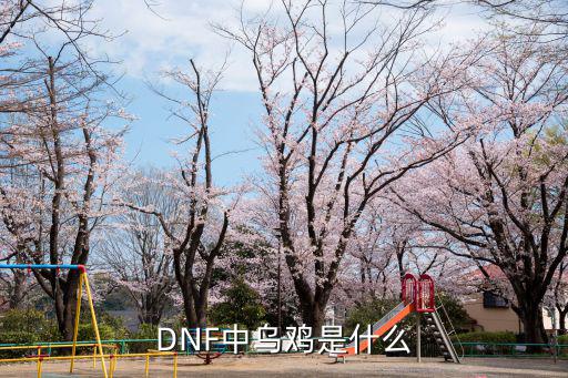 dnf乌鸡强化什么属性，DNF中乌鸡是什么