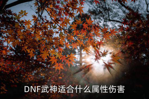 DNF武神适合什么属性伤害