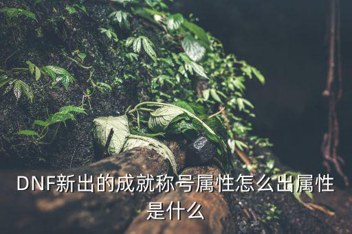 DNF新出的成就称号属性怎么出属性是什么