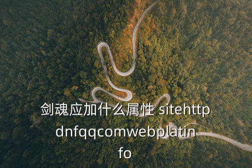 剑魂应加什么属性 sitehttpdnfqqcomwebplatinfo