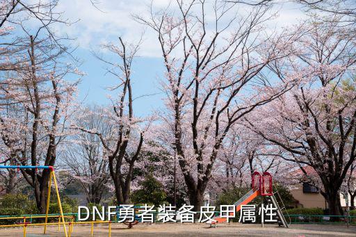 DNF勇者装备皮甲属性