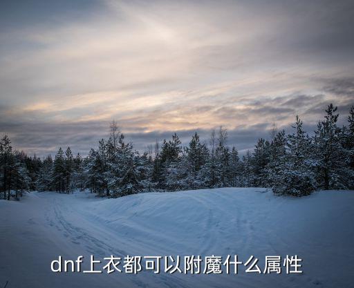 dnf上衣都可以附魔什么属性