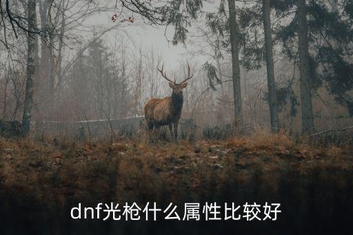 dnf光枪强化什么属性，dnf光枪什么属性比较好