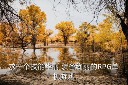 求一个技能华丽 装备绚丽的RPG单机游戏