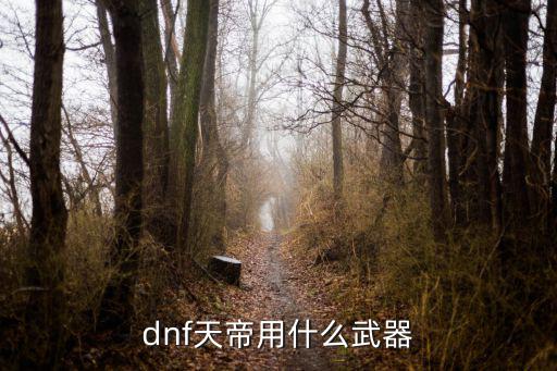 dnf天帝用什么武器