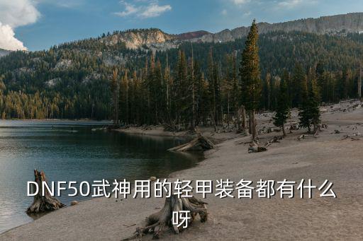 DNF50武神用的轻甲装备都有什么呀