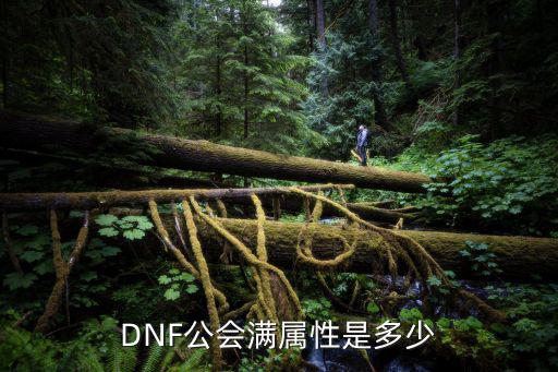 dnf满级公会什么属性，DNF公会满属性是多少